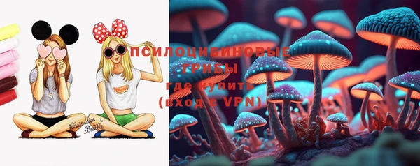 соль курить ск Алексеевка